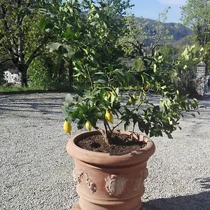 Appartamento Casina Di Vicchio, Dicomano